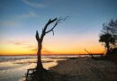 Where to Watch the Sunset on Folly Beach